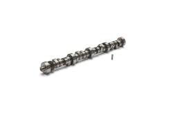 Ford Performance Parts - Ford Racing M-6250-X303 Hydraulic Roller Tappet Camshaft Small Block V8 - Image 2