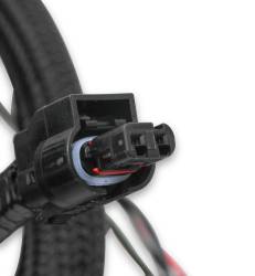Holley EFI - Holley EFI 558-124 Engine Wiring Harness - Image 2