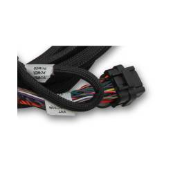 Holley EFI - Holley EFI 558-124 Engine Wiring Harness - Image 3