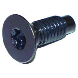 Crown Automotive Jeep Replacement - Crown Automotive 6035757 Windshield Hinges Torx Screw Kit for 97-06 Wrangler TJ - Image 1