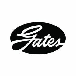 Gates - Gates K060970 Automotive V-Ribbed Belt Standard - Image 1