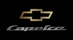Eurosport Daytona - Eurosport Daytona 2337-1GB Lazer-Tag License Plate Caprice Bowtie Logo - Image 1