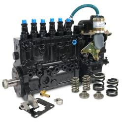 BD Diesel - BD Diesel 1040185 Governor Spring Kit for 94-98 RAM 2500/3500 - Image 2