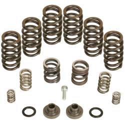 BD Diesel - BD Diesel 1040185 Governor Spring Kit for 94-98 RAM 2500/3500 - Image 1