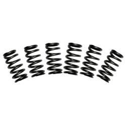BD Diesel - BD Diesel 1030060 Valve Spring Kit for 88-98 Dodge 2500/3500 Cummins 5.9L - Image 1