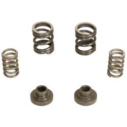 BD Diesel - BD Diesel 1040187 P7100 Governor Spring Kit for 94-98 RAM 2500/3500 12V - Image 1