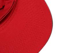 Holley - Holley Performance 10230HOL Holley Fuel Your Passion Cap - Image 8