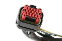 MSD - MSD Ignition 80003 Power Grid Harness Pro 600 - Image 3