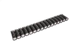 COMP Cams - COMP Cams 15850-16 Short Travel Race Hydraulic Roller Lifter for 87+ SBC/LT/LS - Image 1