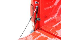 Dee Zee - Dee Zee DZ43301 Tailgate Assist for Dodge RAM 1500/2500/3500 Pickup - Image 2