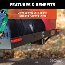 CURT - CURT 53201 Auxiliary LED Indicator Lights - Image 3
