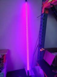 5150 Whips - 5150 Whips 36" Hyper Whip LED Safety Whip-Pink w/Magnet Mount & Flag-Each - Image 2