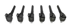 MSD Ignition 827063 Direct Ignition Coil for 17-20 Ford F150 EcoBoost 3.5L V6