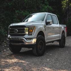 Tuff Country - Tuff Country 23925KN 3" Front Lift Kit w/Ball Joint UCA's/Shocks 21-22 F150 4WD - Image 3