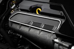 APR - APR MS100251 Audi 2.5 Engine Intake Manifold Cover - Image 4
