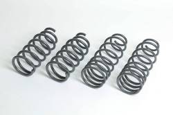 Progress LT - Progress 40.1134 Sport Spring Set - Image 1