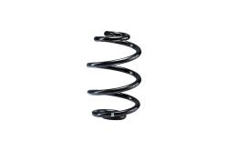 Eibach - Eibach R10012 Single Rear Spring - Image 1