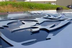 Fishbone Offroad - Fishbone Offroad FB31124 Hood Louver Aluminum for 97-02 Jeep Wrangler TJ - Image 5