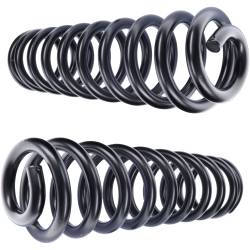 Camburg - Camburg CAM-110105 2.5 Performance Coil Springs Pair Diesel - Image 1