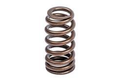 APR - APR MS100258 Engine Valve Spring Kit for Audi Bentley Lamborghini Porsche - Image 2