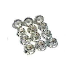 Baer Brake Systems - BAER Brakes 2000028 Disc Brake Rotor Nut - Image 2