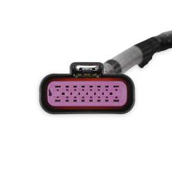 Holley EFI - Holley Sniper EFI 558-190 Chassis Power Distribution Module Wiring Harness - Image 2