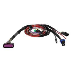 Holley EFI - Holley Sniper EFI 558-190 Chassis Power Distribution Module Wiring Harness - Image 4