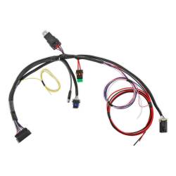 Holley EFI - Holley Sniper EFI 558-191 Engine Control Module ECM Wiring Harness - Image 1