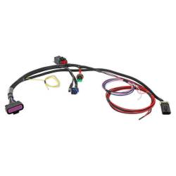 Holley EFI - Holley Sniper EFI 558-191 Engine Control Module ECM Wiring Harness - Image 3
