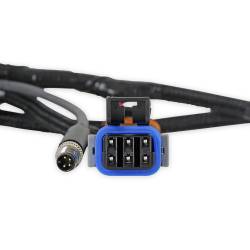 Holley EFI - Holley Sniper EFI 558-191 Engine Control Module ECM Wiring Harness - Image 7