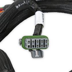 Holley EFI - Holley EFI 558-221 GDI Sub-Harness for Late GM Gen V LTx Engines - Image 4