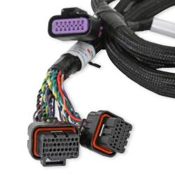 Holley EFI - Holley EFI 558-221 GDI Sub-Harness for Late GM Gen V LTx Engines - Image 3