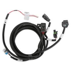 Holley EFI - Holley EFI 558-480 Manual Transmission Wiring Harness - Image 4