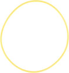 Spicer - DANA Spicer 41784-2 Wheel Hub O-Ring - Image 1