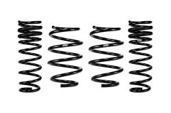 Eibach - Eibach E10-77-030-01-22 4Pc Springs - Image 1