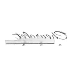 Trim Parts - Trim Parts 2569 1966 Impala SS Trunk Emblem "Chevrolet Impala SS" 1Pc EACH - Image 3