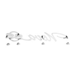 Trim Parts - Trim Parts 3031 1965 Nova Rear Quarter Emblem "Nova SS" PAIR - Image 3