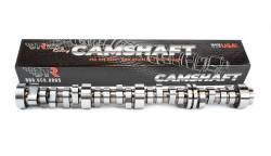 Brian Tooley Racing - Brian Tooley Racing BTR-2240006175 CAMSHAFT - Image 1
