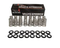 Brian Tooley Racing - Brian Tooley Racing SK017 .650" Lift Valve Spring Kit for 09-23 GEN III HEMI - Image 1