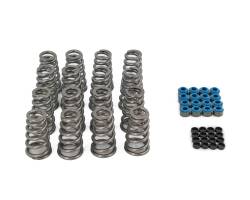 Brian Tooley Racing - Brian Tooley Racing SK017 .650" Lift Valve Spring Kit for 09-23 GEN III HEMI - Image 2