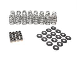 Brian Tooley Racing - Brian Tooley Racing BTR-SK018 .625 LIFT VALVE SPRING KIT - Image 1