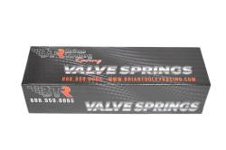 Brian Tooley Racing - Brian Tooley Racing BTR-SK018 .625 LIFT VALVE SPRING KIT - Image 2