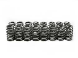 Brian Tooley Racing - Brian Tooley Racing SP011-16 .560" LS6 BEEHIVE VALVE SPRING SET - Image 1