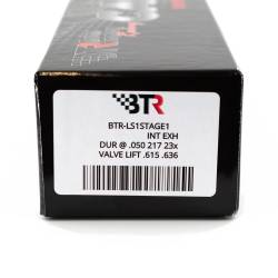 Brian Tooley Racing - Brian Tooley Racing BTR-LS1STAGE1 BTR LS1 Stage-1 CAMSHAFT V2 - Image 2