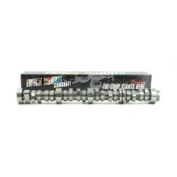Brian Tooley Racing - Brian Tooley Racing BTR-GENV53TN BTR Gen V 5.3 Truck Norris Camshaft - Image 2