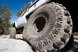 Interco Tire - Interco Tire SSR-63R Super Swamper SSR 35x12.50R20LT LR-F Offroad Tire - Image 3