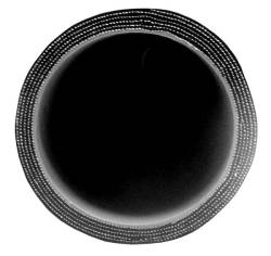 Pacific Performance Engineering - PPE 515222236 2.25" X 36" L 6MM 5-Ply Silicone Hose - Image 2
