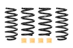 Eibach - Eibach E10-87-002-07-22 Set Of 4 Springs - Image 1