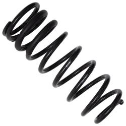 Bilstein - Bilstein 53-329257 B12 Special Coil Spring Set - Image 2