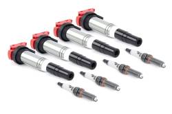Dinan - Dinan D655-0008 Performance Ignition Coil - Image 2